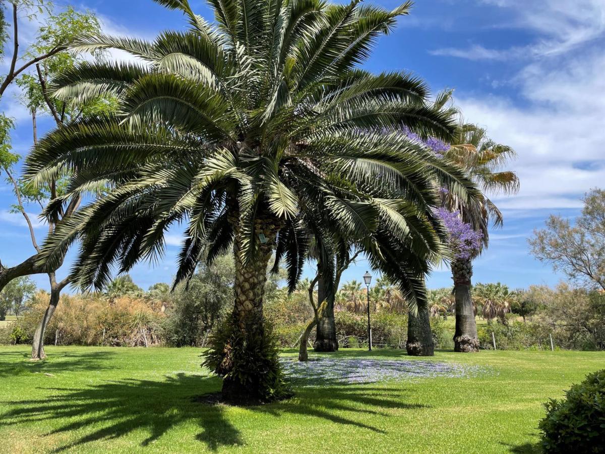 Golf, Kitesurf, Tennis, Paddle, Free Bicycles - Apartment Andalusia إيسلا كانيلا المظهر الخارجي الصورة